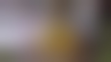 BHO Extraction the safe and easy way part 2