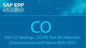 SAP CO Settings : CO-PA Part №2 Maintain Characteristics and Values KEA5 KES1