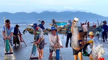 Nước Cạn Bà Con Kéo Nhau Ra Biển Cào Nghêu Bắt Ốc Ở Làng Biển PHƯỚC TỈNH║Mâm GHẸ HẤP Ăn Là Ghiền.