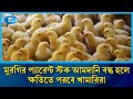 মুরগির 'প্যারেন্ট স্টক' আমদানি নিষিদ্ধে শঙ্কায় পরবে ৫০ হাজার কোটি টাকার পোল্ট্রি শিল্প | Rtv News