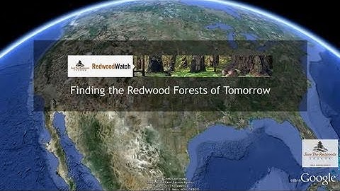 Redwood Watch: Finding the Redwood Forests of Tomorrow