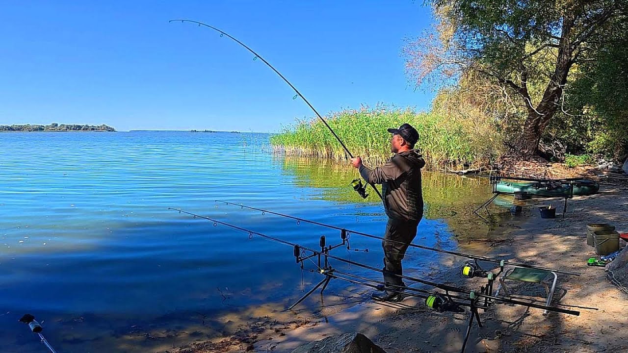 ЗНАЙШОВ ДИКИЙ ПЛЯЖ З РИЖИМИ САЗАНАМИ. Рибалка на дикого сазана