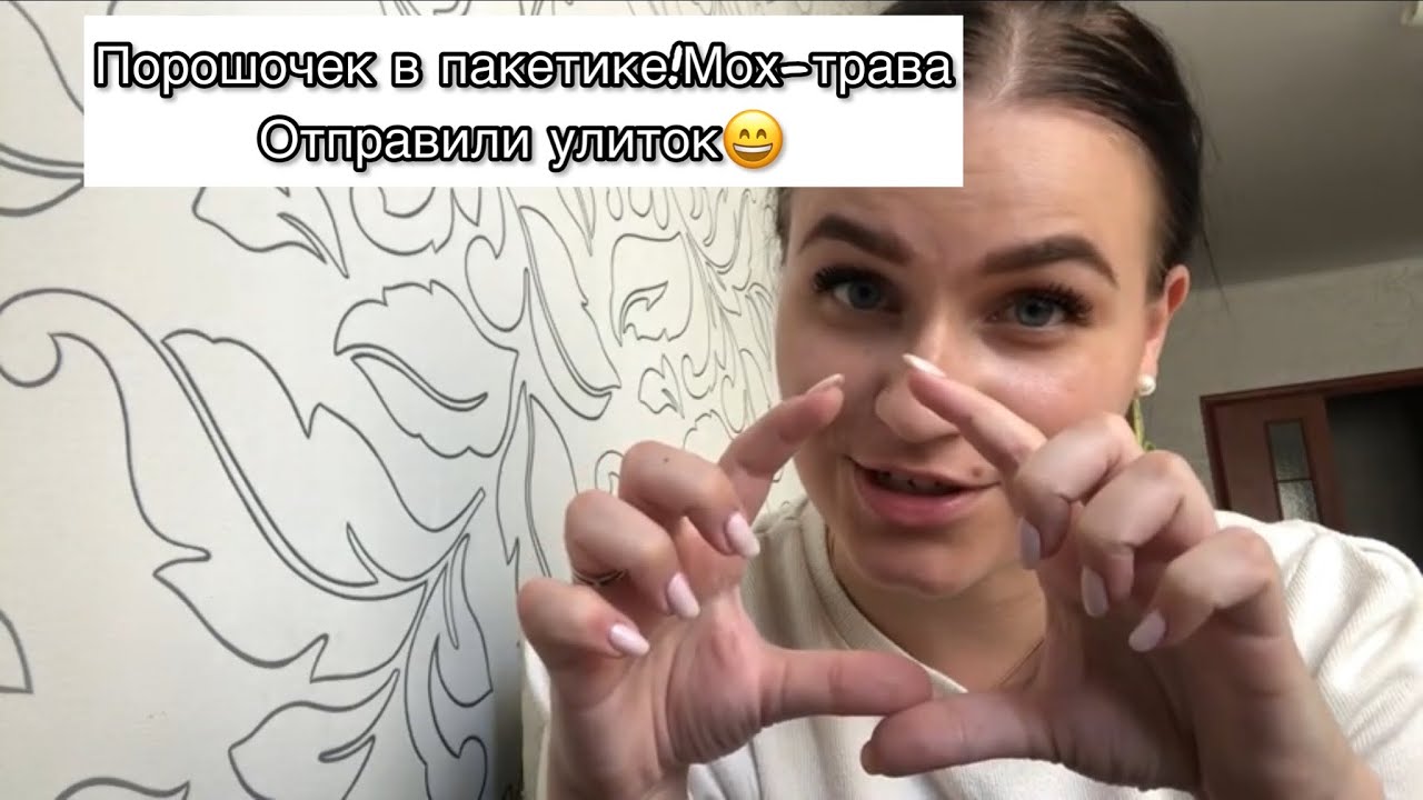 Как мы улиток отправляли|Мох или не мох - YouTube