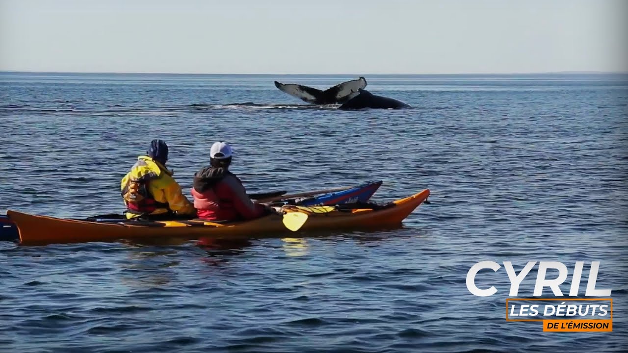 GOLFE DU ST-LAURENT - QUÉBEC- PARTIE 1 - Mordu de la Pêche