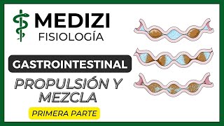 Clase 45 Fisiología Gastrointestinal - Propulsión y Mezcla Parte 1 (1/2) (IG:@doctor.paiva)