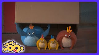 Twirlywoos - The Hiding Box Mystery! | Kids Cartoons | WildBrain Learning Lab