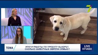 Итоги работы по проекту GladPet. Сколько животных обрели семью? Итоги работы по проекту GladPet. Сколько животных обрели семью?
