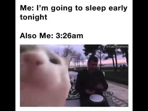 A programmer day in life || Programming meme