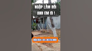 Đất Dầu Tiếng I Đất Ngộp cần bán gấp 34×36 ( Tc 300) #datdautieng