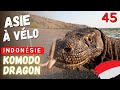 Indonesie avec les dragons de Komodo.
