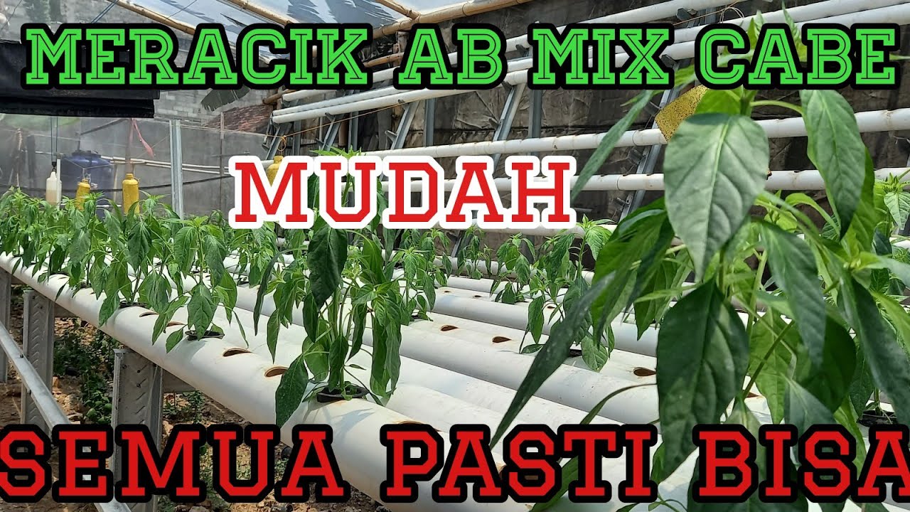 G&b acid planting mix