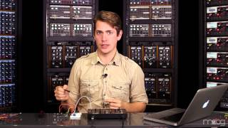 WERKSTATT-01 | Push Button Vibrato