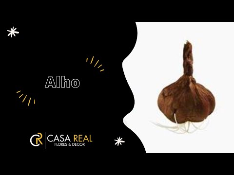 Alho Artificial - Marrom (12716)
