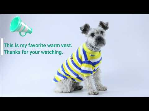 Флісова кофта для котів «Смужечка», жовто-синій, видео 1