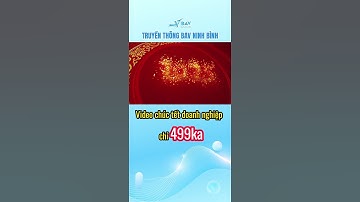 Video Chúc Tết Doanh Nghiệp 2025 chỉ 499k - Video chúc tết mới nhất, video chúc tết doanh nghiệp