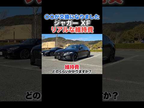 ジャガーXFの維持費は実際いくら？リアルな金額を聞いてみた　#jaguar #xf #shorts