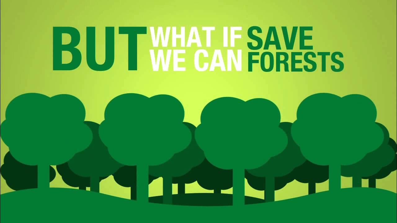 Nature take care. Постер save the Rainforests. Постер save the nature. Save the Forest. Приложение Форест.