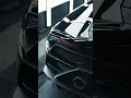 Detailing a Black Bull