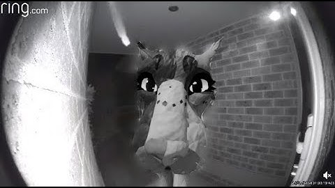 MEP PARTS FOR @liontrot.wcueyt - EXTRA FOOTAGE!