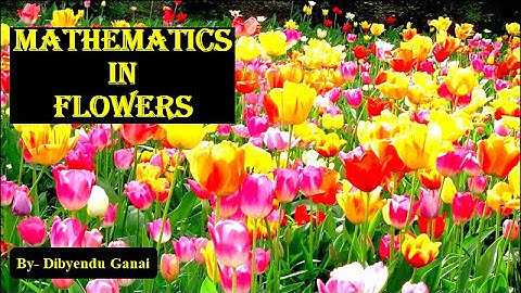 Mathematics in Flowers | Fibonacci Sequence | #MathCyberspace | By- Dibyendu Ganai