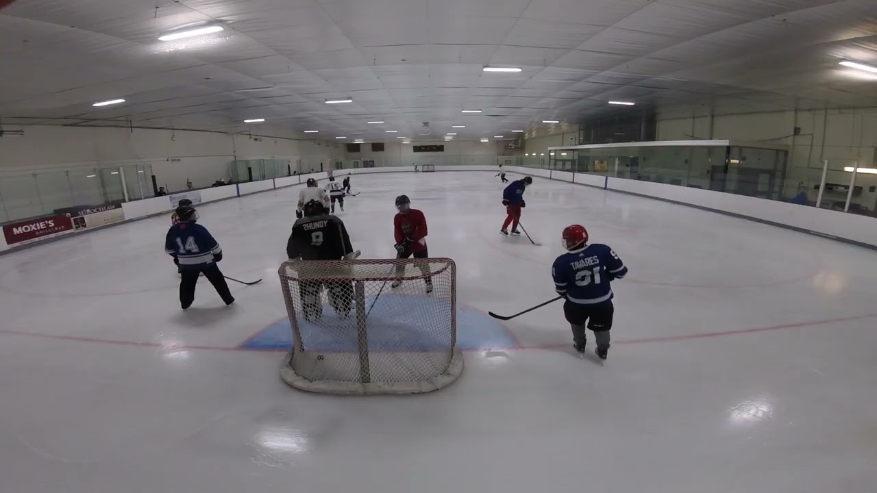 GP010736 Oriole Shinny White shooting 4 Feb 2026 Part 2/6