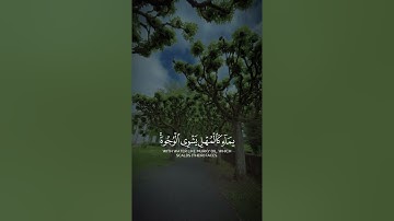 سورة الكهف كامله  #quran #تلاوة_خاشعة #اكسبلور #قرآن #قران_كريم #راحة_نفسية