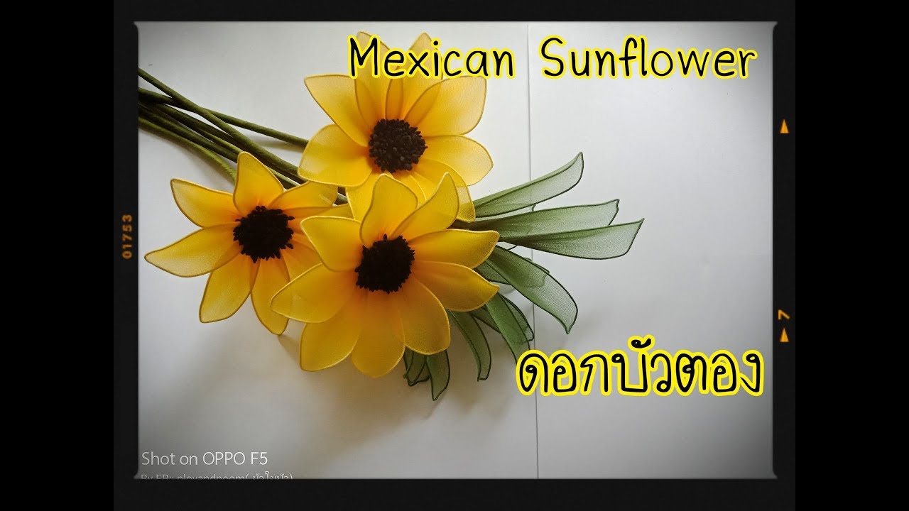 EP100 :How to make nylon/stocking flower (american sunflower/ดอกบัวตอง) ployandpoom