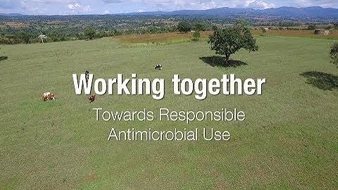 Working together towards responsible antimicrobial use