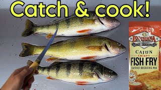 Perch Catch and Cook!