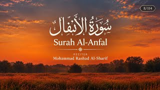 Surah Al-Anfal (08) | Quran Recitation by Mohammad Rashad Al-Sharif | سورة الأنفال