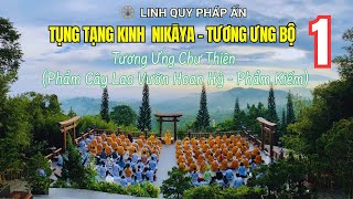 TỤNG TẠNG KINH NIKAYA 1 - Tương Ưng Bộ -Tương Ưng Chư Thiên (Phẩm Cây Lao Vườn Hoan Hỷ - Phẩm Kiếm)