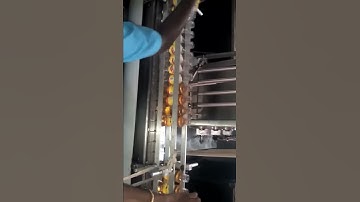 Volumetric Liquid filling machine Automatic with Conveyor (2 bottle, 4bottle, 8bottle and etc