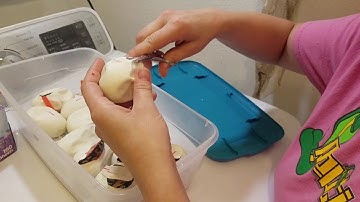 Ball Python Egg Cutting Clutch #5 of 2018