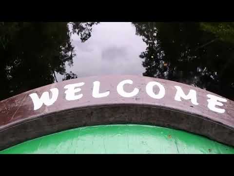 Idden forest - video from Idden