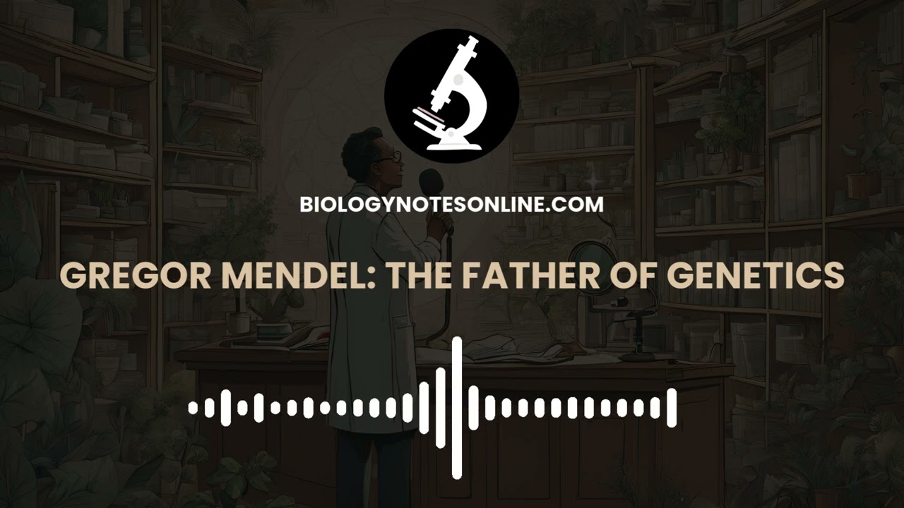Mendel’s Laws of Inheritance - Mendelian Inheritance 1