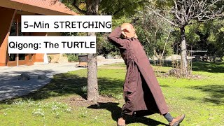 5-Minute STRETCHING | Qigong : The TURTLE