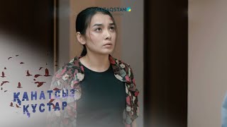 видео: «Қанатсыз құстар-2». Телехикая. 22-бөлім картинка: «Қанатсыз құстар-2». Телехикая. 22-бөлім