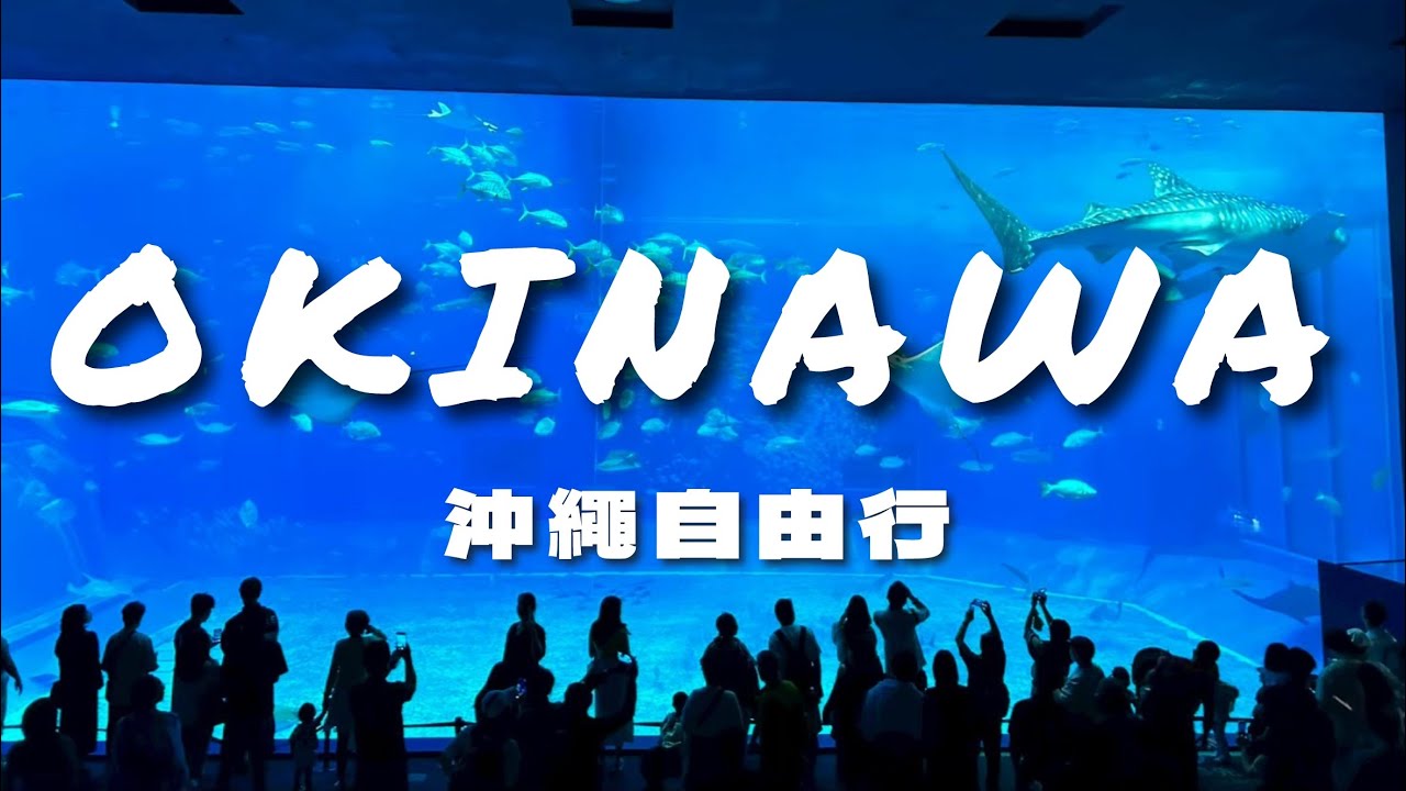 【沖繩Vlog】花生豆腐好吃到狂買回台灣?! 不自駕跟著北部一日遊去水族館看海豚！還有那霸市區阿古豬火鍋推薦 | 2025沖繩自由行下集 | 6號一家