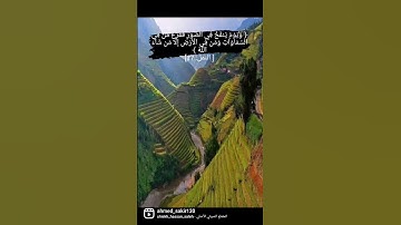 سورة النمل #قران_كريم #قرآن #تلاوة_خاشعة #تلاوات_خاشعة #تلاوة_هادئة #سورة_النمل