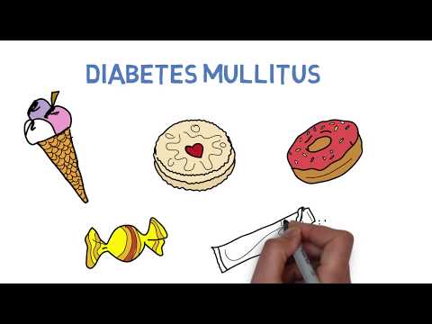 what-is-diabetes?---the-causes-of-diabetes