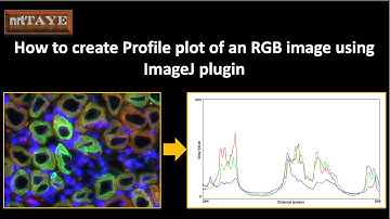 How to create Profile plot of an RGB image using ImageJ plugin