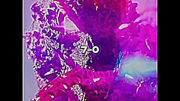 Evolved Godzilla vs Thermo Godzilla #godzilla #battle #edit