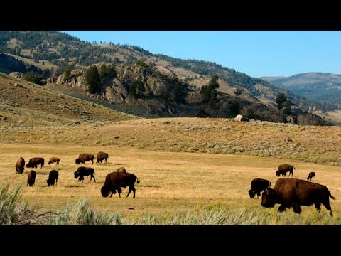 Obama Trying To Protect Public Lands From Trump