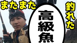 ショアジギングで高級魚ＧＥＴ！in長崎平戸