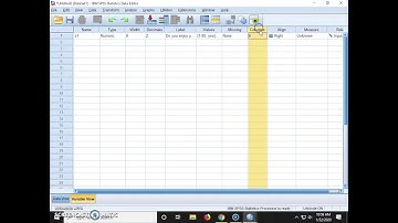 SPSS- how to set up a data file and enter your own data