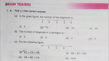 Dav Class 6 Math Chapter 9 Brain Teasers || Line Segment || @madhubanclasses