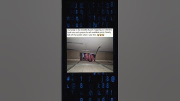 913 Programming memes, only humor #jokes #fy #fyp #soft #software #code #it #technology #git