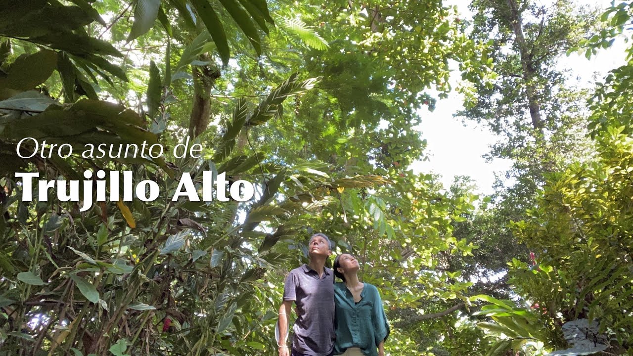 Japonés pasea por Gruta y Lechón｜Trujillo Alto Puerto Rico