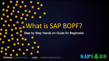 Learn SAP BOPF with Just One Video - End to End - Normal Playback Speed