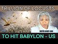 JUDGEMENT UPON BABYLON-US!! TRILLIONS OF LOCUST HEADING THERE!! #WEARENEAR #2ndexodus #itistime